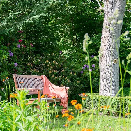 Daire Lieblingsort Lachen *